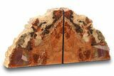 Tall, Colorful Arizona Petrified Wood Bookends #271124-1